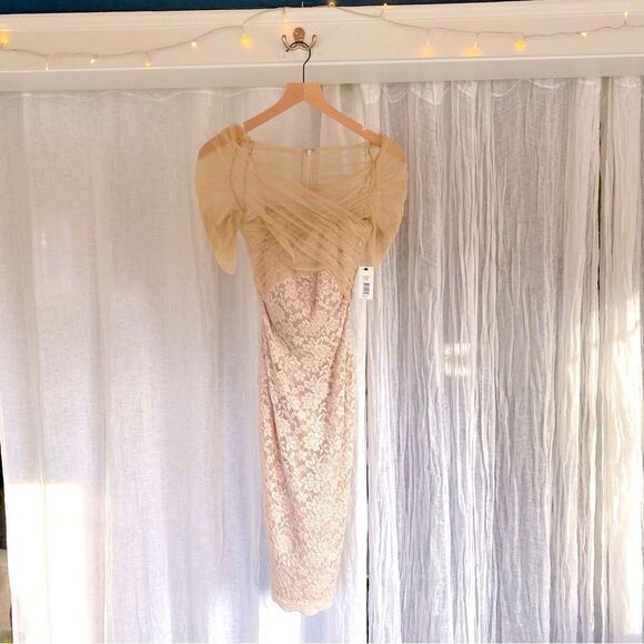 Badgley Mischka Mesh & Lace Stretch Midi Dress - Picture 5 of 8